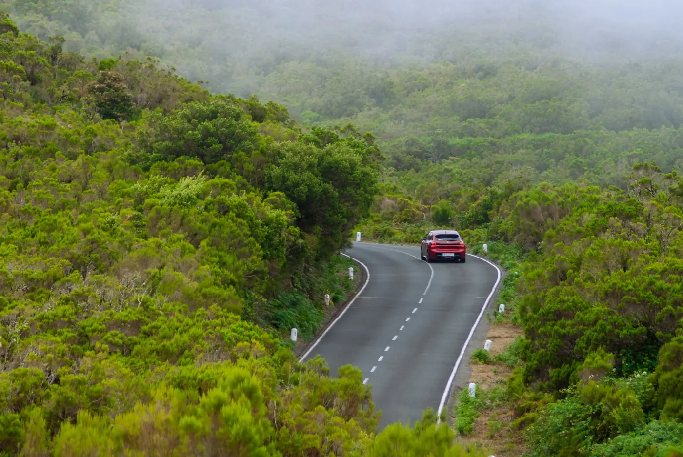 A car on a mountain road through green forest
